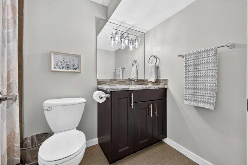 10807 Mapleshire Crescent Se, Calgary, AB - Indoor Photo Showing Bathroom