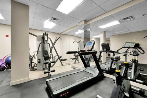 411-429 14 Street Nw, Calgary, AB - Indoor Photo Showing Gym Room