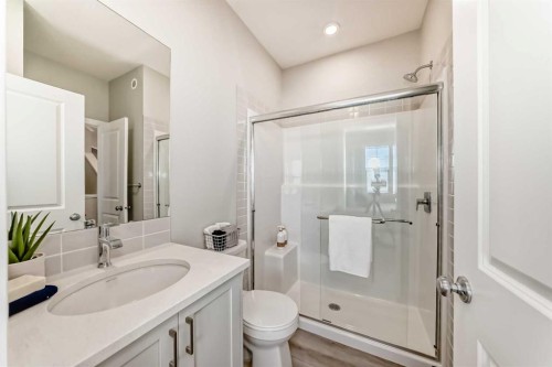 136 Heirloom Street Se, Calgary, AB - Indoor Photo Showing Bathroom