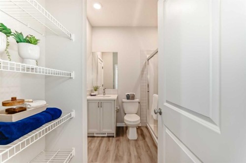 136 Heirloom Street Se, Calgary, AB - Indoor Photo Showing Bathroom