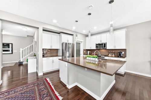 56 Evansborough Green Nw, Calgary, AB - Indoor Photo Showing Kitchen With Stainless Steel Kitchen With Upgraded Kitchen