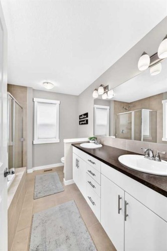 56 Evansborough Green Nw, Calgary, AB - Indoor Photo Showing Bathroom