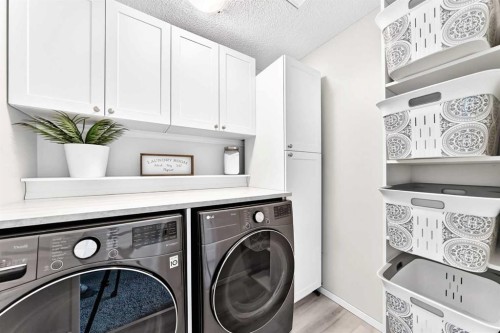 144 Copperstone Gardens, Calgary, AB - Indoor Photo Showing Laundry Room