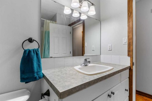 466054 113 Street East, Rural Foothills County, AB - Indoor Photo Showing Bathroom