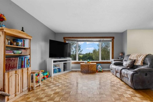 466054 113 Street East, Rural Foothills County, AB - Indoor Photo Showing Living Room