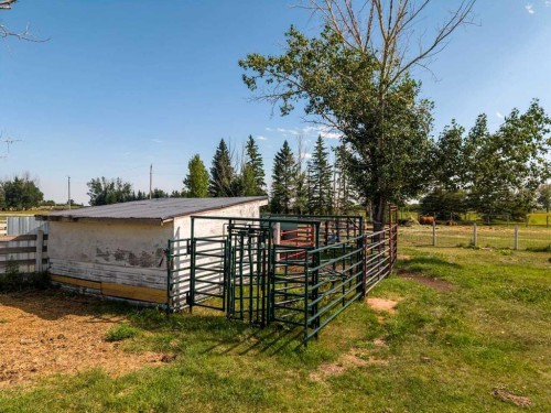 466054 113 Street East, Rural Foothills County, AB - Outdoor With View