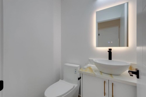 1174 Abbeydale Drive Ne, Calgary, AB - Indoor Photo Showing Bathroom