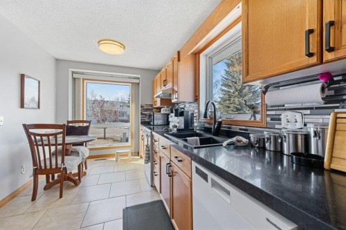52 Macewan Park Heights Nw, Calgary, AB - Indoor Photo Showing Kitchen With Double Sink