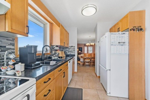 52 Macewan Park Heights Nw, Calgary, AB - Indoor Photo Showing Kitchen With Double Sink