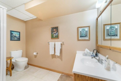 52 Macewan Park Heights Nw, Calgary, AB - Indoor Photo Showing Bathroom