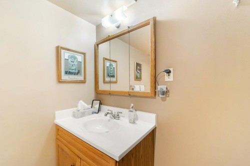52 Macewan Park Heights Nw, Calgary, AB - Indoor Photo Showing Bathroom