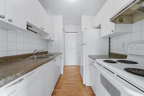 306-2611 15A Street Sw, Calgary, AB - Indoor Photo Showing Kitchen With Double Sink