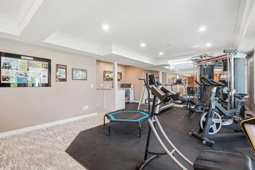 12078 Diamond View Se, Calgary, AB - Indoor Photo Showing Gym Room