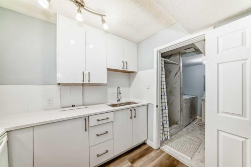 77 Martinbrook Road Ne, Calgary, AB - Indoor Photo Showing Kitchen With Double Sink