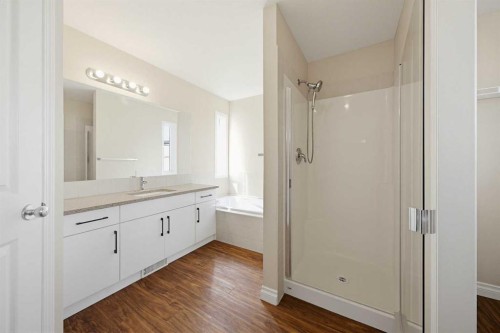 133 Saddlecrest Green Ne, Calgary, AB - Indoor Photo Showing Bathroom