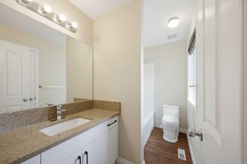 133 Saddlecrest Green Ne, Calgary, AB - Indoor Photo Showing Bathroom