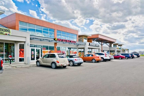 133 Saddlecrest Green Ne, Calgary, AB - Outdoor