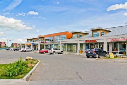 133 Saddlecrest Green Ne, Calgary, AB - Outdoor