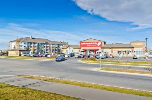 133 Saddlecrest Green Ne, Calgary, AB - Outdoor