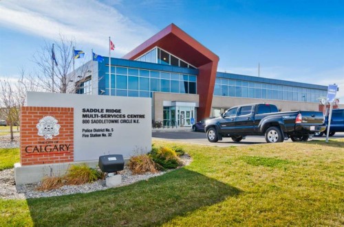 133 Saddlecrest Green Ne, Calgary, AB - Outdoor