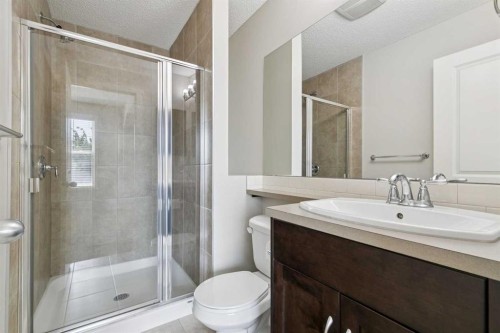 28 Walden Drive Se, Calgary, AB - Indoor Photo Showing Bathroom