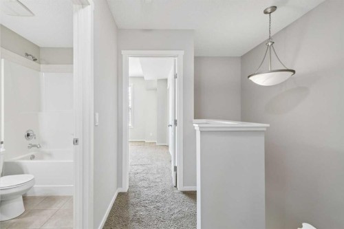 28 Walden Drive Se, Calgary, AB - Indoor Photo Showing Bathroom