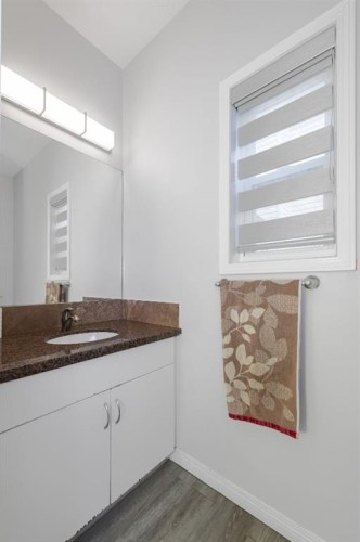 50 Saddleland Crescent Ne, Calgary, AB - Indoor Photo Showing Bathroom