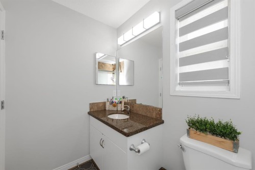 50 Saddleland Crescent Ne, Calgary, AB - Indoor Photo Showing Bathroom