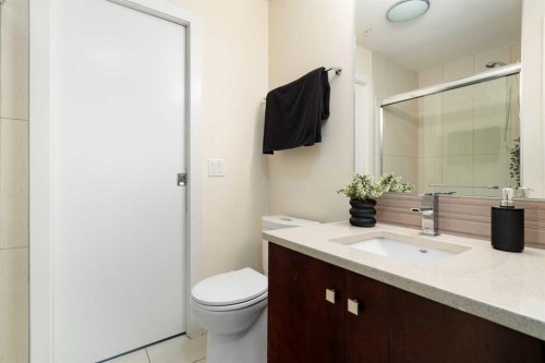 209-1720 10 Street Sw, Calgary, AB - Indoor Photo Showing Bathroom