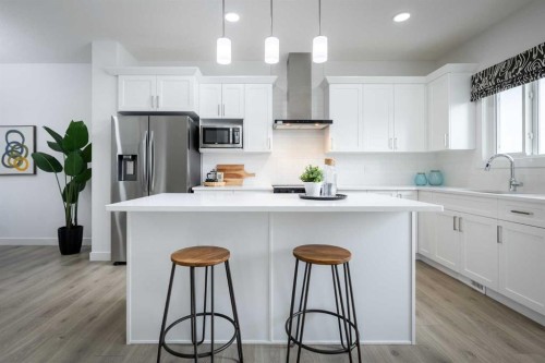 633 Savanna Drive Ne, Calgary, AB - Indoor Photo Showing Kitchen With Upgraded Kitchen
