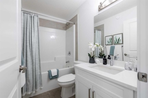 633 Savanna Drive Ne, Calgary, AB - Indoor Photo Showing Bathroom