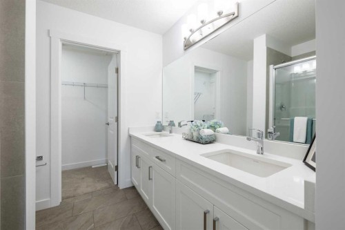633 Savanna Drive Ne, Calgary, AB - Indoor Photo Showing Bathroom