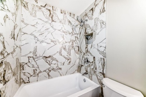 59 Templeson Road Ne, Calgary, AB - Indoor Photo Showing Bathroom