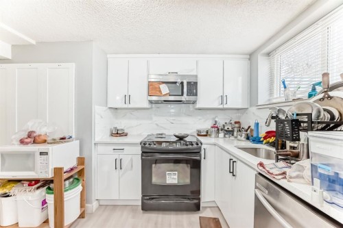 59 Templeson Road Ne, Calgary, AB - Indoor Photo Showing Kitchen With Stainless Steel Kitchen
