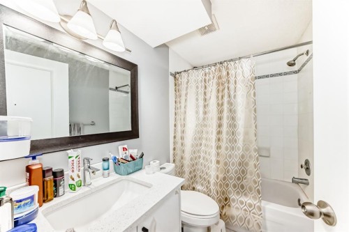 59 Templeson Road Ne, Calgary, AB - Indoor Photo Showing Bathroom