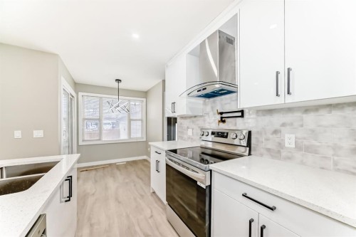 59 Templeson Road Ne, Calgary, AB - Indoor Photo Showing Kitchen With Double Sink With Upgraded Kitchen