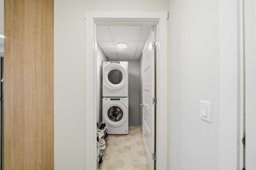 318-55 Wolf Hollow Crescent Se, Calgary, AB - Indoor Photo Showing Laundry Room
