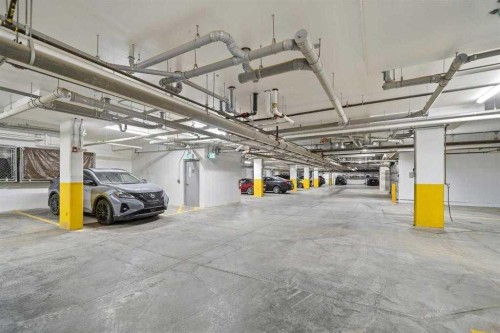 318-55 Wolf Hollow Crescent Se, Calgary, AB - Indoor Photo Showing Garage
