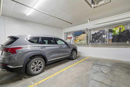 318-55 Wolf Hollow Crescent Se, Calgary, AB - Indoor Photo Showing Garage