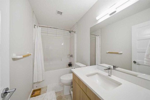 318-55 Wolf Hollow Crescent Se, Calgary, AB - Indoor Photo Showing Bathroom