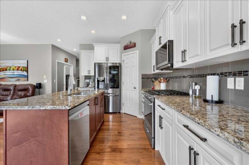 1017 Brightoncrest Common Se, Calgary, AB - Indoor Photo Showing Kitchen With Stainless Steel Kitchen With Double Sink With Upgraded Kitchen