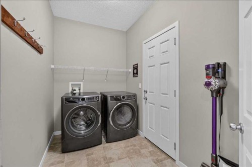 1017 Brightoncrest Common Se, Calgary, AB - Indoor Photo Showing Laundry Room