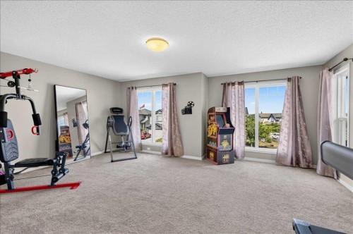 1017 Brightoncrest Common Se, Calgary, AB - Indoor Photo Showing Gym Room