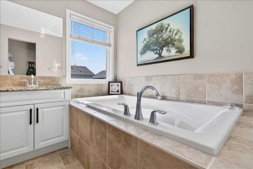 1017 Brightoncrest Common Se, Calgary, AB - Indoor Photo Showing Bathroom