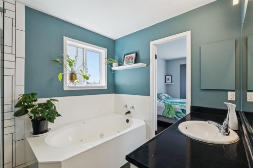 19 Covington Close Ne, Calgary, AB - Indoor Photo Showing Bathroom