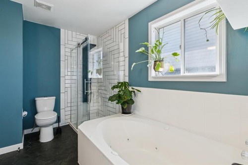 19 Covington Close Ne, Calgary, AB - Indoor Photo Showing Bathroom