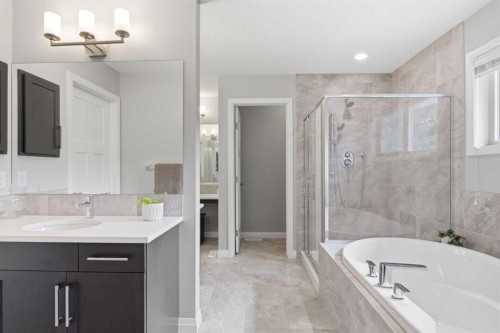 81 Riviera View, Cochrane, AB - Indoor Photo Showing Bathroom