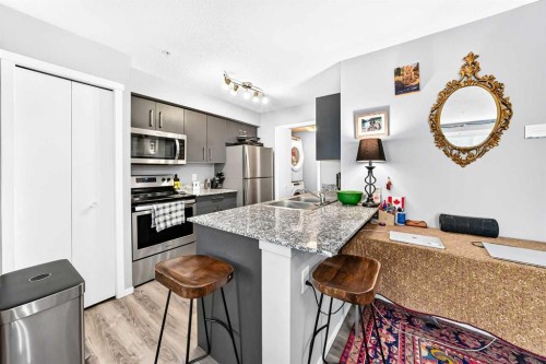 2314-4641 128 Avenue Ne, Calgary, AB - Indoor Photo Showing Kitchen With Double Sink With Upgraded Kitchen