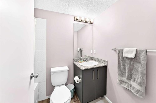 2314-4641 128 Avenue Ne, Calgary, AB - Indoor Photo Showing Bathroom