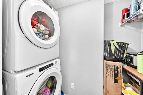 2314-4641 128 Avenue Ne, Calgary, AB - Indoor Photo Showing Laundry Room